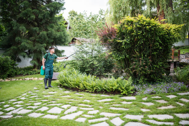 Reliable Tickfaw, LA Pest Control Solutions
