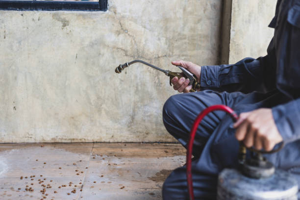 Best Pest Control Near Me  in Tickfaw, LA